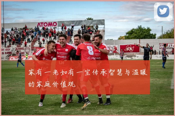 家有一老如有一宝传承智慧与温暖的家庭价值观